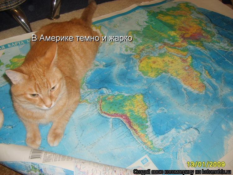 Котоматрица: В Америке темно и жарко