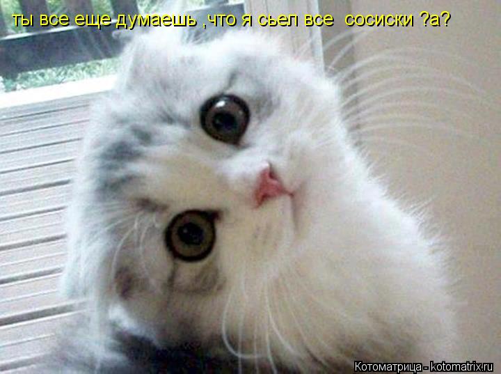 Котоматрица: ты все еще думаешь ,что я сьел все  сосиски ?а?