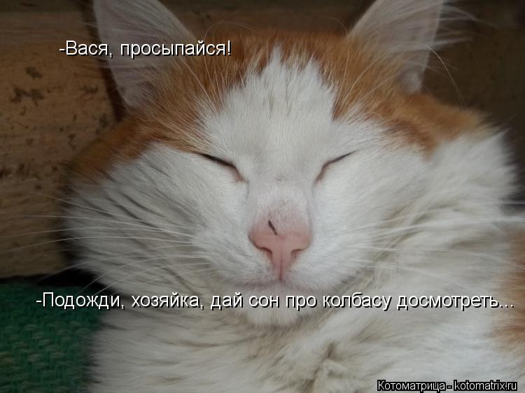 -Вася, просыпайся! -Вася, просыпайся! -Подожди, хозяйка, дай сон про колбасу досмотреть... -Подожди, ... Котоматрица: -Вася, просыпайся! -Вася, просыпайся! -Подожди, хозяйка, дай сон про колбасу досмотреть... -Подожди, хозяйка, дай сон про колбасу досмотреть...