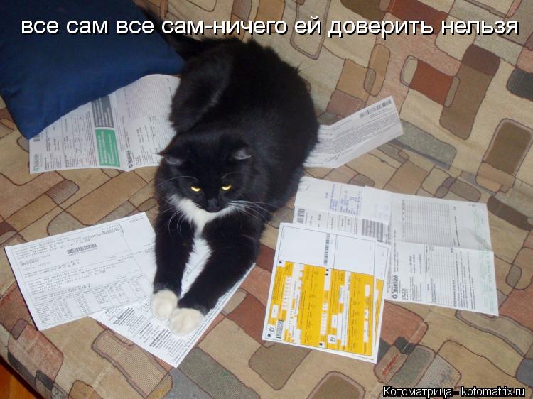 все сам все сам-ничего ей доверить нельзя... Котоматрица: все сам все сам-ничего ей доверить нельзя