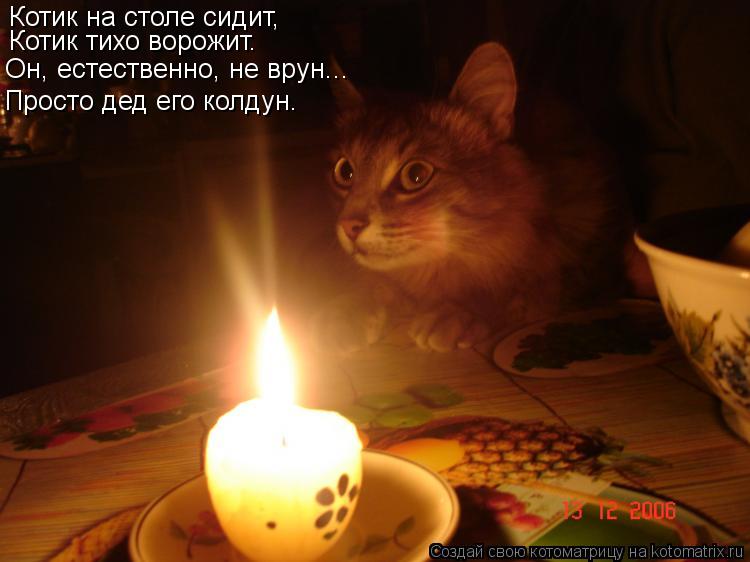 Котик на столе сидит, Котик тихо ворожит. Он, естественно, не врун... Просто дед его колдун.... Котоматрица: Котик на столе сидит, Котик тихо ворожит. Он, естественно, не врун... Просто дед его колдун.