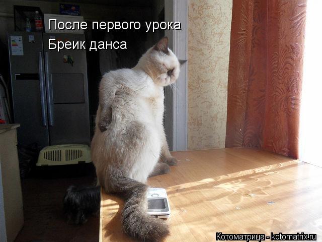 После первого урока Бреик данса... Котоматрица: После первого урока Бреик данса