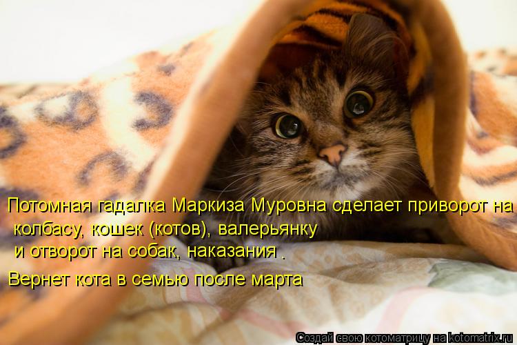 Котоматрица: Потомная гадалка Маркиза Муровна сделает приворот на   колбасу, кошек (котов), валерьянку  и отворот на собак, наказания . Вернет кота в семью