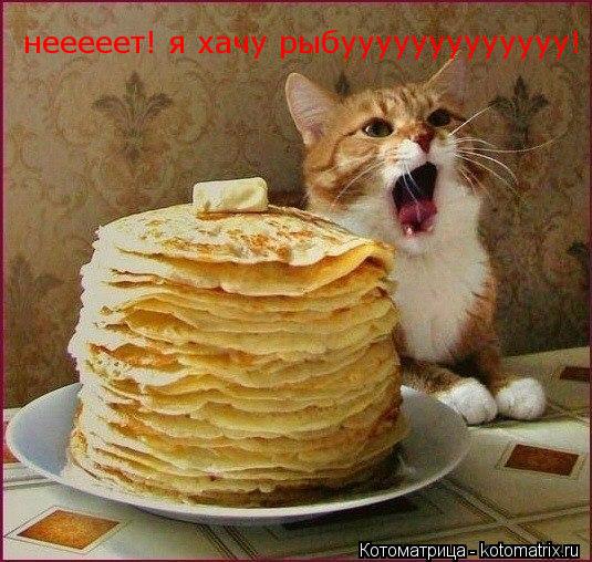 нееееет! я хачу рыбууууууууууууу! нееееет! я хачу рыбууууууууууууу!... Котоматрица: нееееет! я хачу рыбууууууууууууу! нееееет! я хачу рыбууууууууууууу!