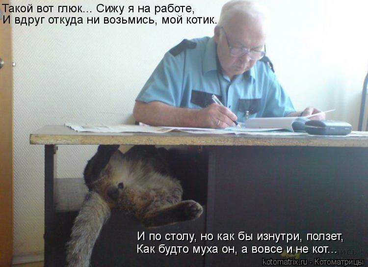 И вдруг откуда ни возьмись, мой котик. Такой вот глюк... Сижу я на работе, И по столу, но как бы изну... Котоматрица: И вдруг откуда ни возьмись, мой котик. Такой вот глюк... Сижу я на работе, И по столу, но как бы изнутри, ползет, Как будто муха он, а вовсе и не к