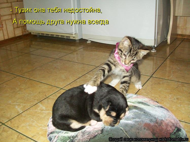 - Тузик она тебя недостойна, А помощь друга нужна всегда... Котоматрица: - Тузик она тебя недостойна, А помощь друга нужна всегда