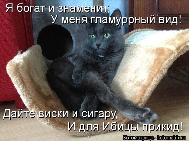 И для Ибицы прикид! Дайте виски и сигару, Я богат и знаменит, У меня гламуррный вид!... Котоматрица: И для Ибицы прикид! Дайте виски и сигару, Я богат и знаменит, У меня гламуррный вид!