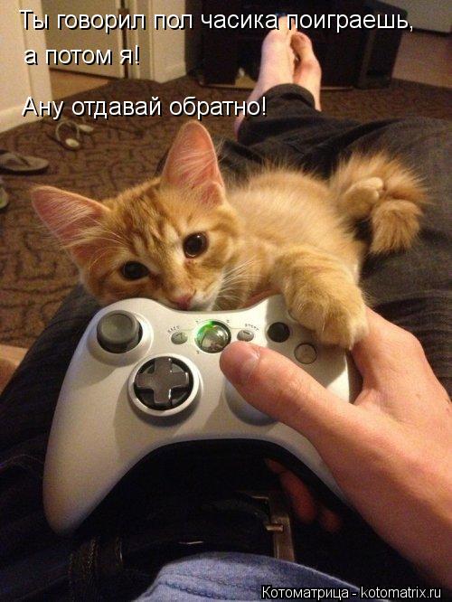 Ты говорил пол часика поиграешь, а потом я! Ану отдавай обратно!... Котоматрица: Ты говорил пол часика поиграешь, а потом я! Ану отдавай обратно!
