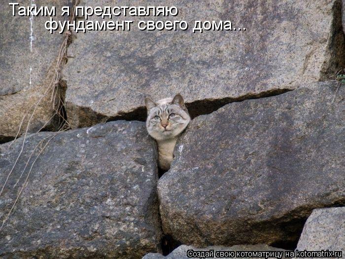 Котоматрица: Таким я представляю  фундамент своего дома...