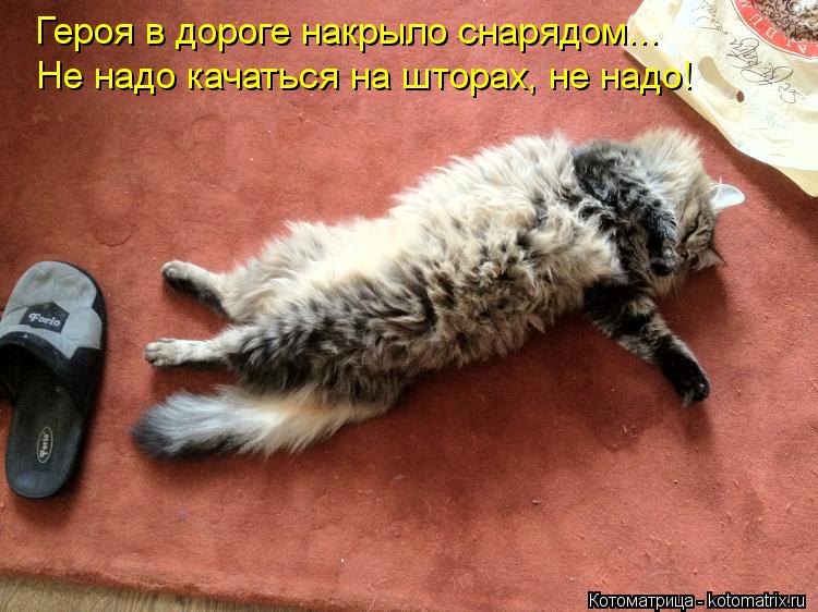 Героя в дороге накрыло снарядом... Не надо качаться на шторах, не надо!... Котоматрица: Героя в дороге накрыло снарядом... Не надо качаться на шторах, не надо!