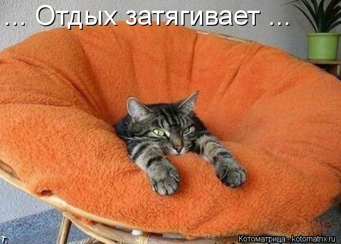 Котоматрица: ... Отдых затягивает ...