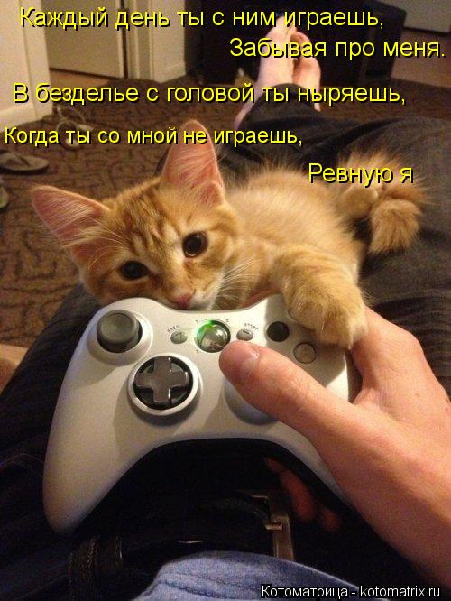Каждый день ты с ним играешь, Забывая про меня. В безделье с головой ты ныряешь, Когда ты со мной не ... Котоматрица: Каждый день ты с ним играешь, Забывая про меня. В безделье с головой ты ныряешь, Когда ты со мной не играешь, Ревную я