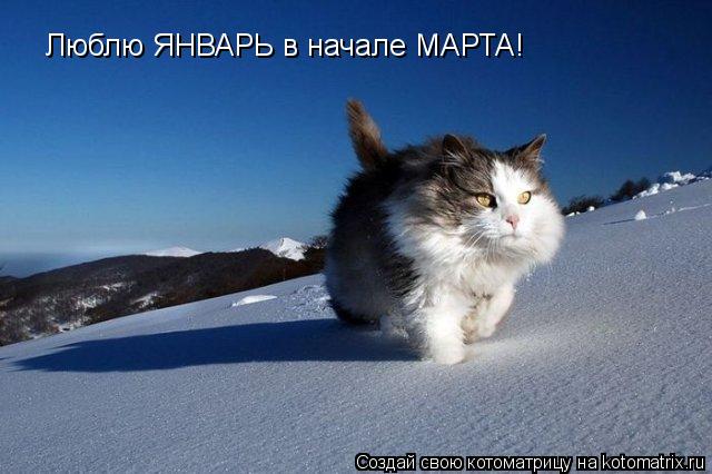 Котоматрица: Люблю ЯНВАРЬ в начале МАРТА!