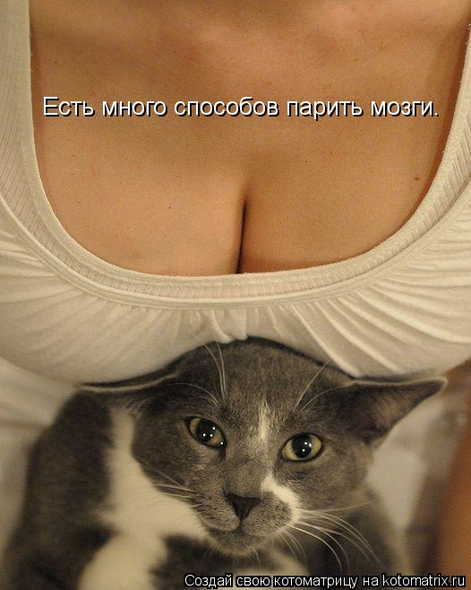 Есть много способов парить мозги.... Котоматрица: Есть много способов парить мозги.