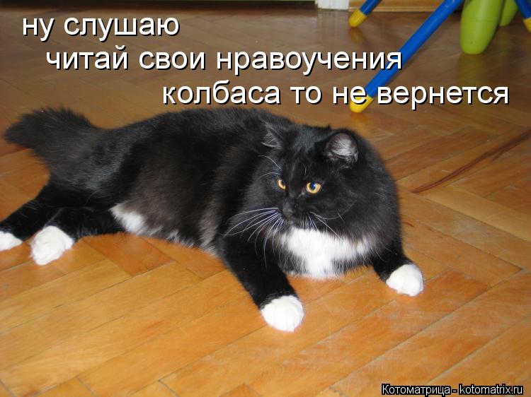 ну слушаю читай свои нравоучения колбаса то не вернется... Котоматрица: ну слушаю читай свои нравоучения колбаса то не вернется