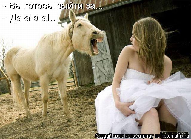 Котоматрица: - Вы готовы выйти за... - Да-а-а-а!..