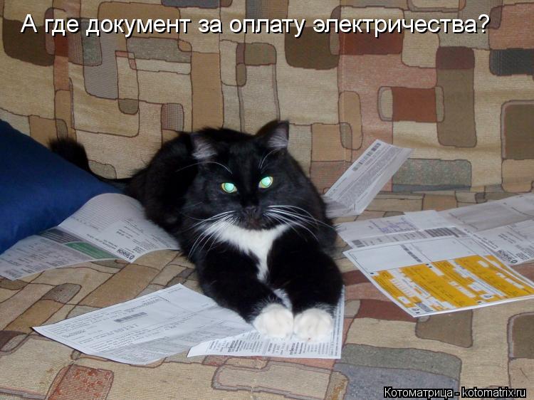 А где документ за оплату электричества?... Котоматрица: А где документ за оплату электричества?