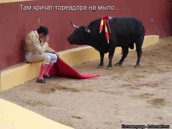 Там кричат-тореадора на мыло...... Котоматрица: Там кричат-тореадора на мыло...