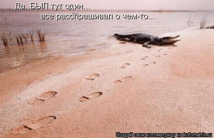 Да, БЫЛ тут один... все расспрашивал о чем-то...... Котоматрица: Да, БЫЛ тут один... все расспрашивал о чем-то...
