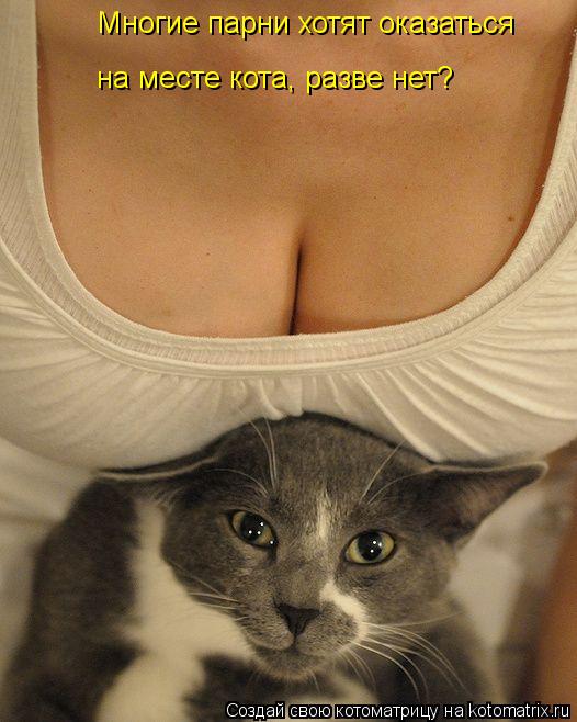 Многие парни хотят оказаться на месте кота, разве нет?... Котоматрица: Многие парни хотят оказаться на месте кота, разве нет?