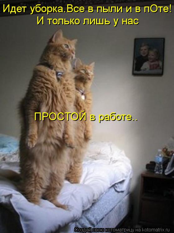 Идет уборка.Все в пыли и в пОте! И только лишь у нас ПРОСТОЙ в работе..... Котоматрица: Идет уборка.Все в пыли и в пОте! И только лишь у нас ПРОСТОЙ в работе..