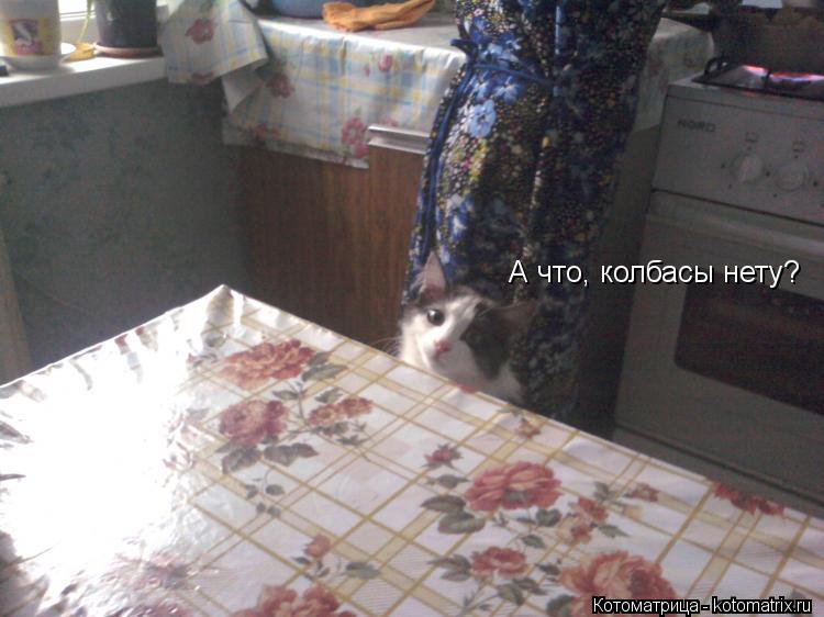Котоматрица: А что, колбасы нету?