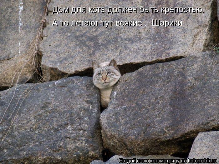 Котоматрица: Дом для кота должен быть крепостью. А то летают тут всякие... Шарики