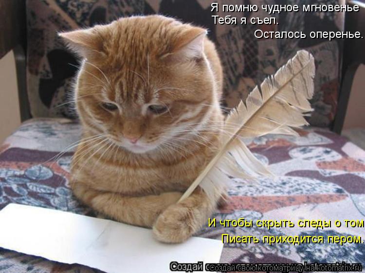 Котоматрица: Я помню чудное мгновенье Тебя я съел.  Осталось оперенье. И чтобы скрыть следы о том Писать приходится пером.