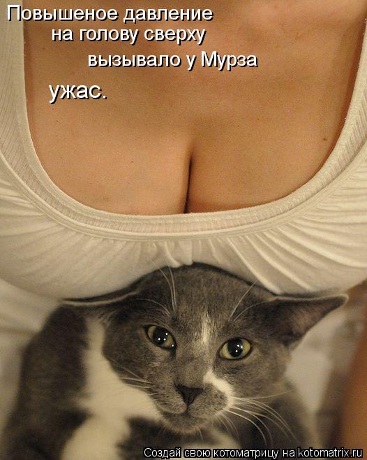 Повышеное давление на голову сверху вызывало у Мурза ужас.... Котоматрица: Повышеное давление на голову сверху вызывало у Мурза ужас.