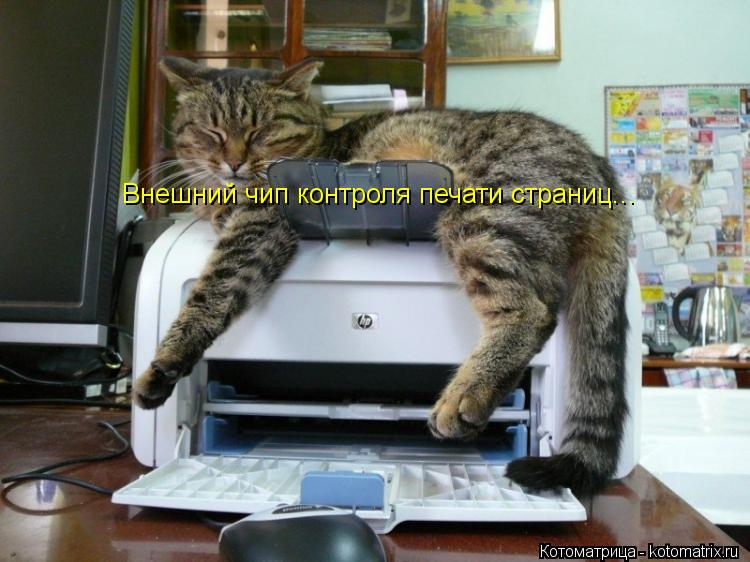 Котоматрица: Внешний чип контроля печати страниц...