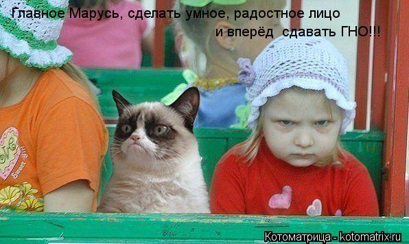 Котоматрица: Главное Марусь, сделать умное, радостное лицо и вперёд  сдавать ГНО!!!