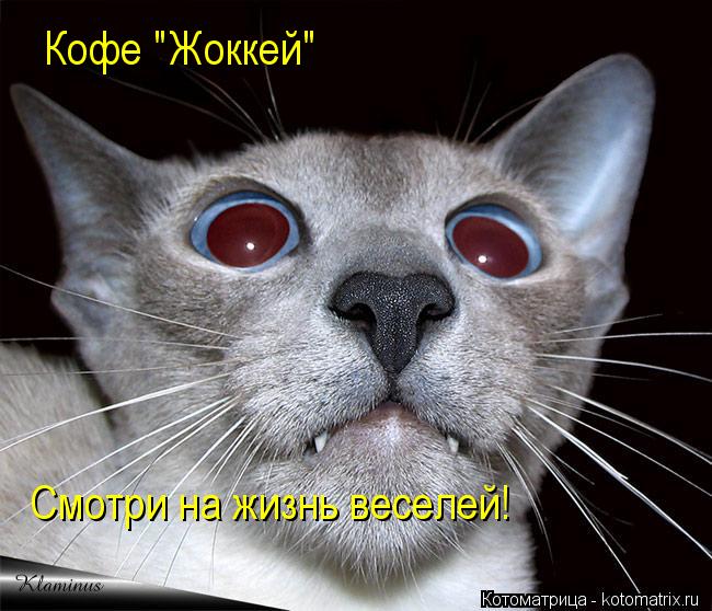 Кофе "Жоккей" Смотри на жизнь веселей!... Котоматрица: Кофе "Жоккей" Смотри на жизнь веселей!