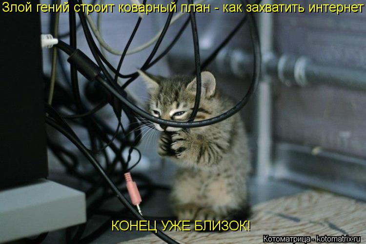 Злой гений строит коварный план - как захватить интернет КОНЕЦ УЖЕ БЛИЗОК!... Котоматрица: Злой гений строит коварный план - как захватить интернет КОНЕЦ УЖЕ БЛИЗОК!