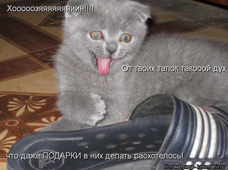 Котоматрица: Хооооозяяяяяяяиин!!!! От твоих тапок такооой дух, что даже ПОДАРКИ в них делать расхотелось!