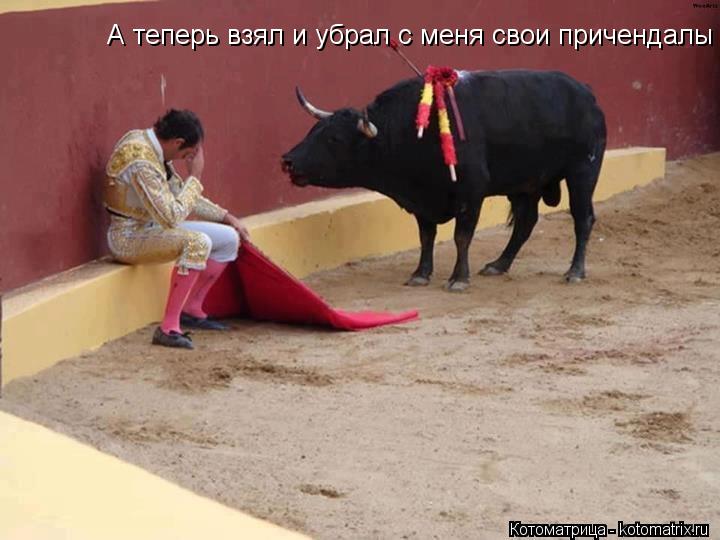 А теперь взял и убрал с меня свои причендалы... Котоматрица: А теперь взял и убрал с меня свои причендалы