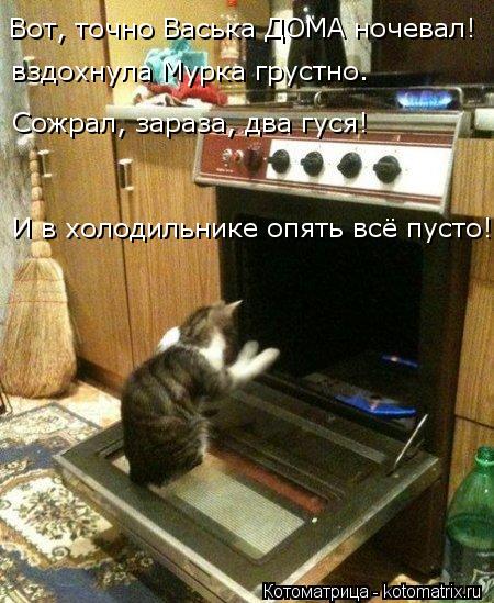 Вот, точно Васька ДОМА ночевал! вздохнула Мурка грустно. Сожрал, зараза, два гуся! И в холодильнике о... Котоматрица: Вот, точно Васька ДОМА ночевал! вздохнула Мурка грустно. Сожрал, зараза, два гуся! И в холодильнике опять всё пусто!