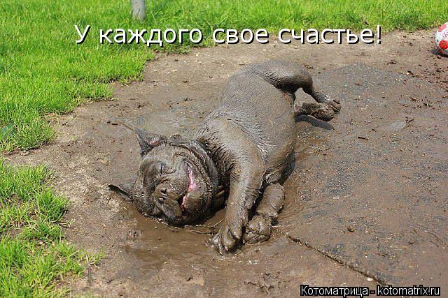 У каждого свое счастье!... Котоматрица: У каждого свое счастье!
