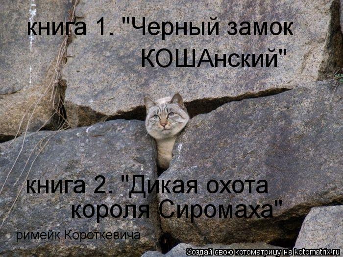 Котоматрица: книга 1. "Черный замок КОШАнский" книга 2. "Дикая охота короля Сиромаха" римейк Короткевича