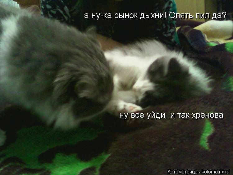 а ну-ка сынок дыхни! Опять пил да? ну все уйди и так хренова... Котоматрица: а ну-ка сынок дыхни! Опять пил да? ну все уйди и так хренова