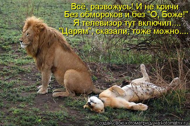 Всё, развожусь! И не кричи Без обмороков и без "О, Боже!" Я телевизор тут включил.... "Царям", сказал... Котоматрица: Всё, развожусь! И не кричи Без обмороков и без "О, Боже!" Я телевизор тут включил.... "Царям", сказали, тоже можно....