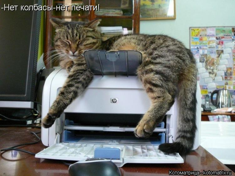 Котоматрица: -Нет колбасы-нет печати!