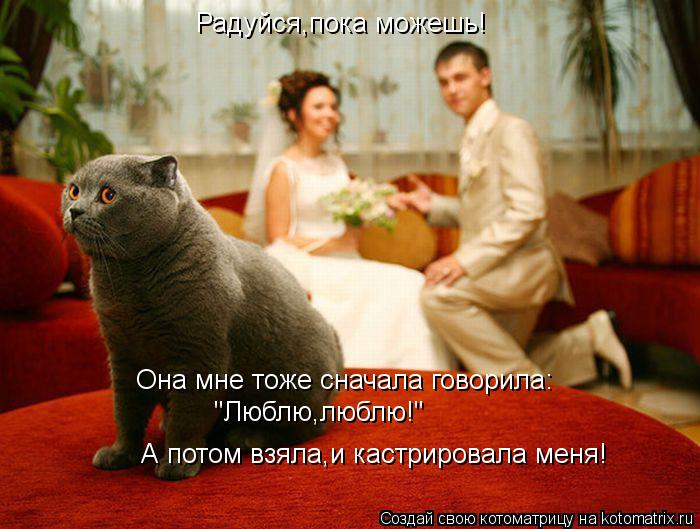 Радуйся,пока можешь! Она мне тоже сначала говорила: "Люблю,люблю!" А потом взяла,и кастрировала меня... Котоматрица: Радуйся,пока можешь! Она мне тоже сначала говорила: "Люблю,люблю!" А потом взяла,и кастрировала меня!