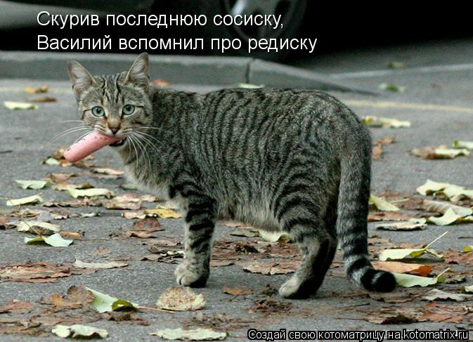 Скурив последнюю сосиску, Василий вспомнил про редиску... Котоматрица: Скурив последнюю сосиску, Василий вспомнил про редиску