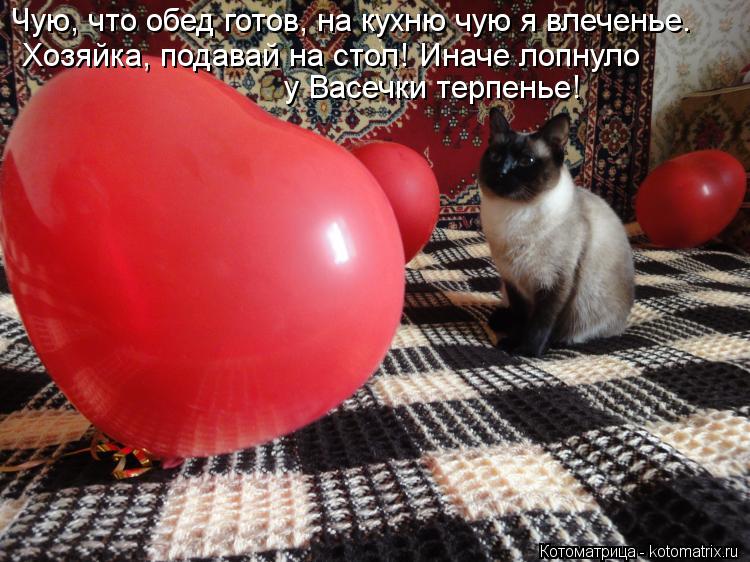 Чую, что обед готов, на кухню чую я влеченье. Хозяйка, подавай на стол! Иначе лопнуло у Васечки терпе... Котоматрица: Чую, что обед готов, на кухню чую я влеченье. Хозяйка, подавай на стол! Иначе лопнуло у Васечки терпенье!
