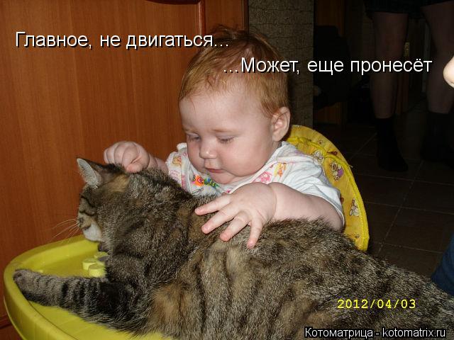 Главное, не двигаться... ...Может, еще пронесёт... Котоматрица: Главное, не двигаться... ...Может, еще пронесёт