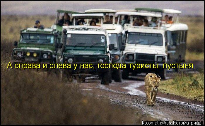 А справа и слева у нас, господа туристы, пустыня... Котоматрица: А справа и слева у нас, господа туристы, пустыня