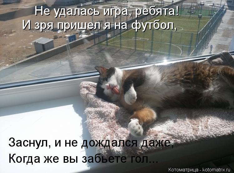 Не удалась игра, ребята! И зря пришел я на футбол, Заснул, и не дождался даже, Когда же вы забьете го... Котоматрица: Не удалась игра, ребята! И зря пришел я на футбол, Заснул, и не дождался даже, Когда же вы забьете гол...