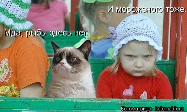 Котоматрица: Мда, рыбы здесь нет. И мороженого тоже.
