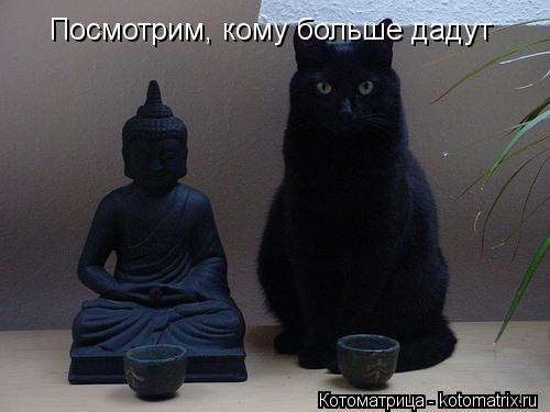 Посмотрим, кому больше дадут... Котоматрица: Посмотрим, кому больше дадут