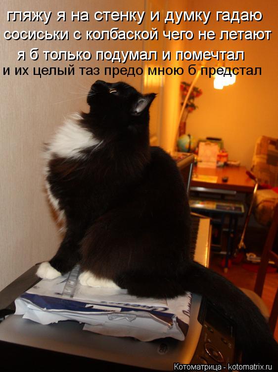 гляжу я на стенку и думку гадаю сосиськи с колбаской чего не летают я б только подумал и помечтал и и... Котоматрица: гляжу я на стенку и думку гадаю сосиськи с колбаской чего не летают я б только подумал и помечтал и их целый таз предо мною б предстал